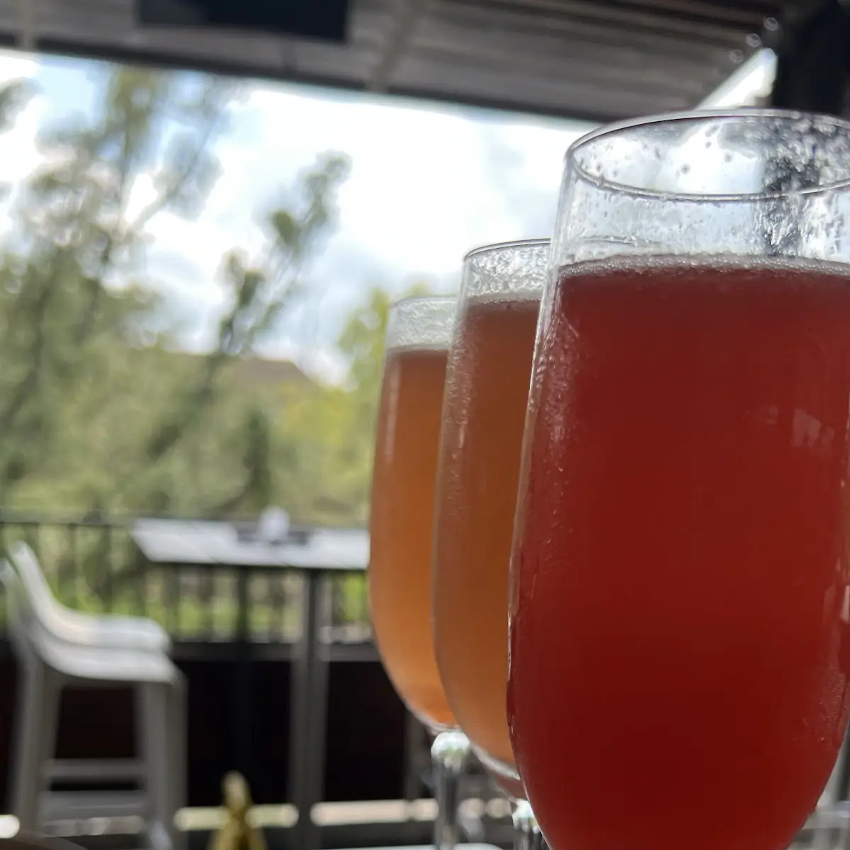 Mimosa Flight