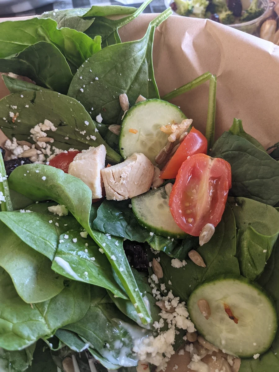 Grilled Chicken Salad