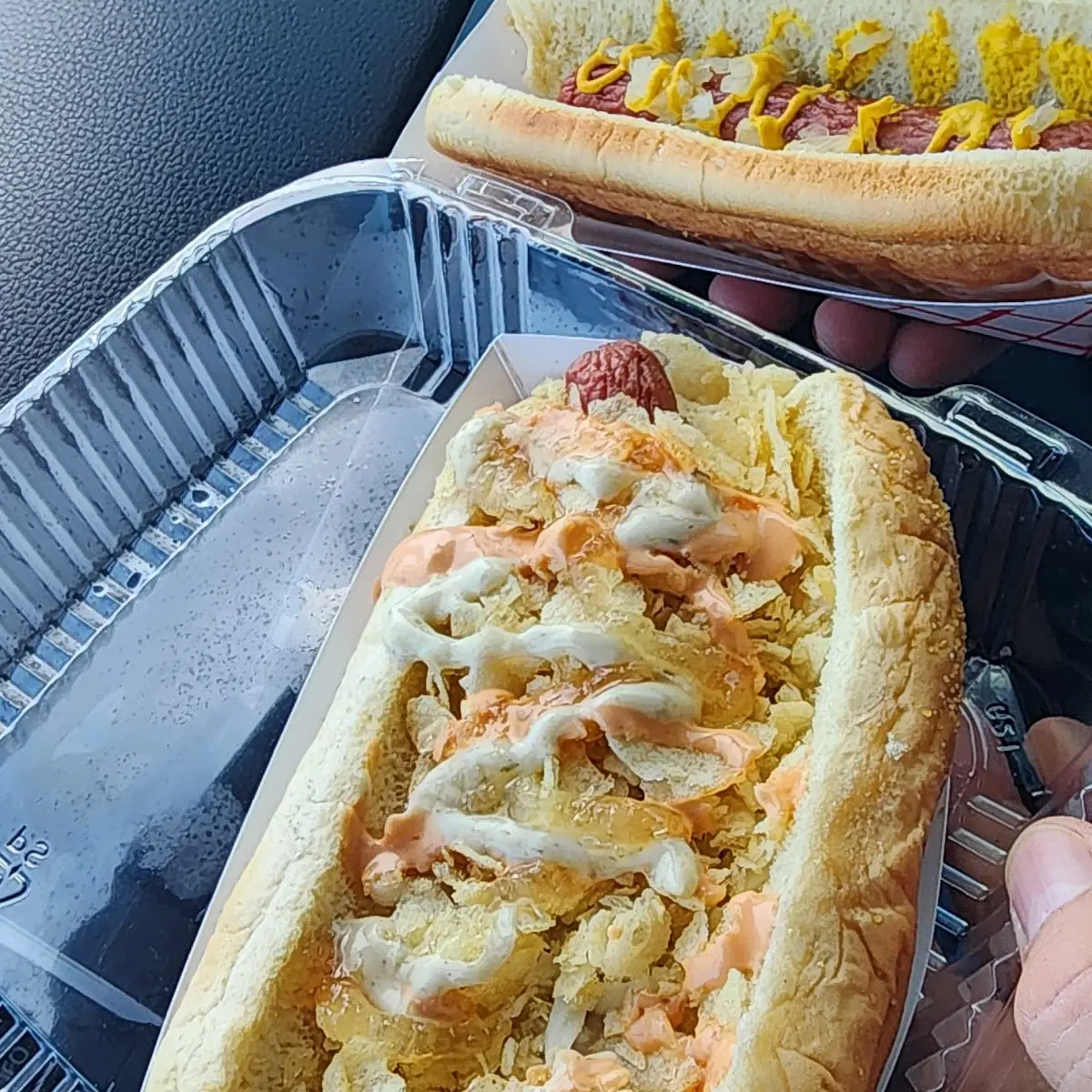 Perro Colombiano