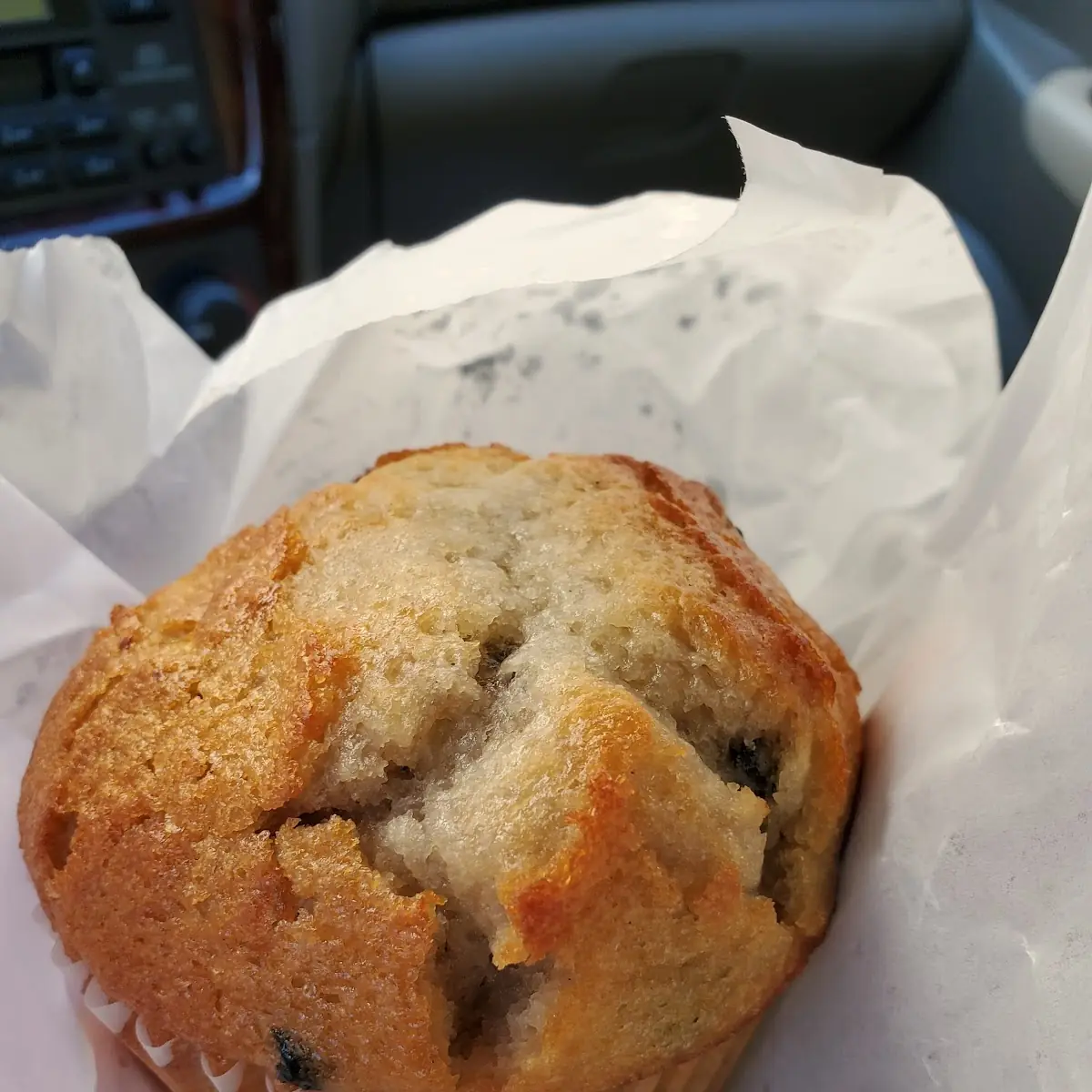 Blueberry Muffin
