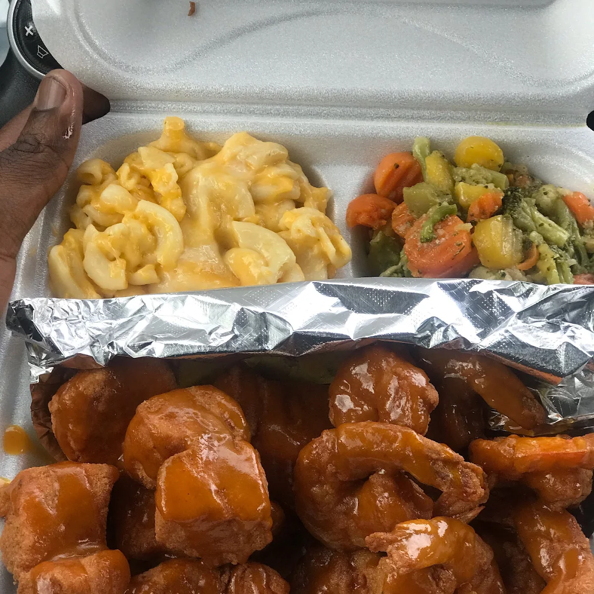 Salmon Bites and Mac and Cheese and Mix Vegetables