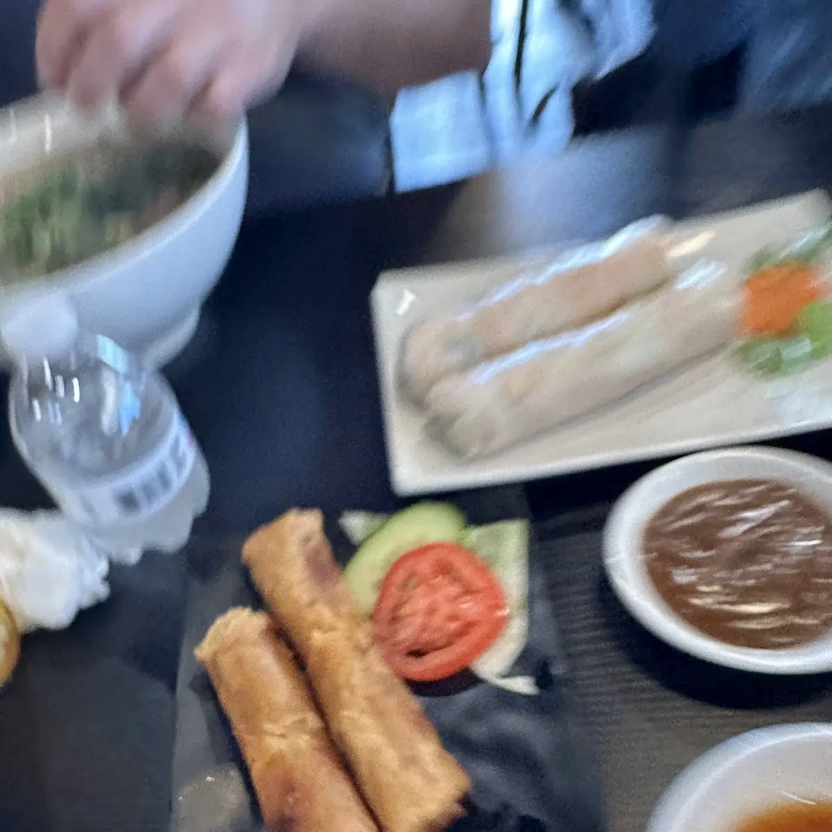 Spring Rolls