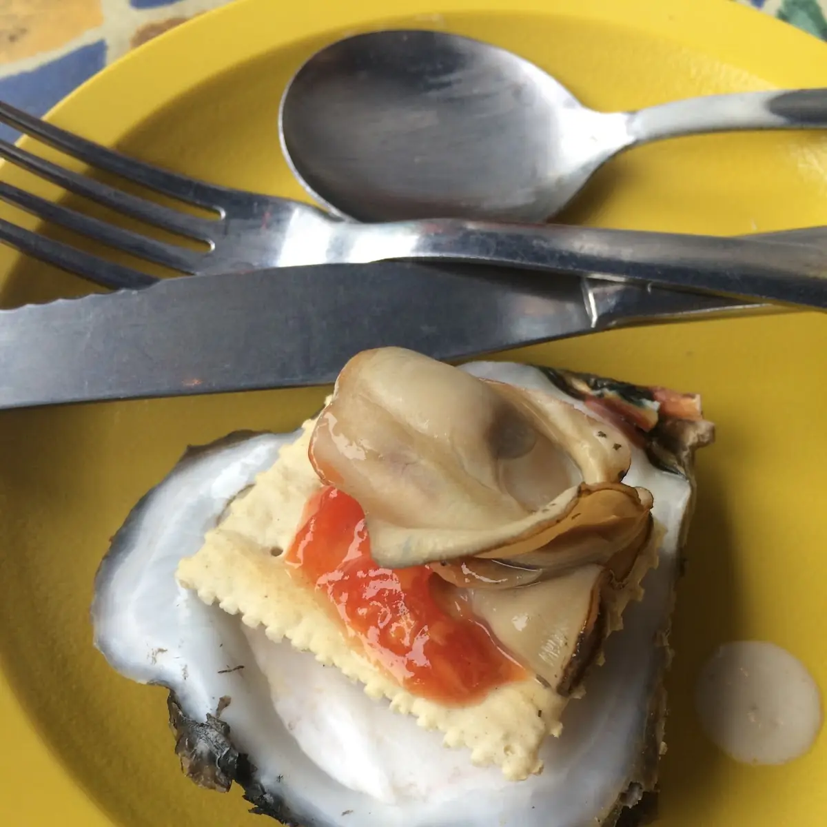 Oysters on the Half Shell