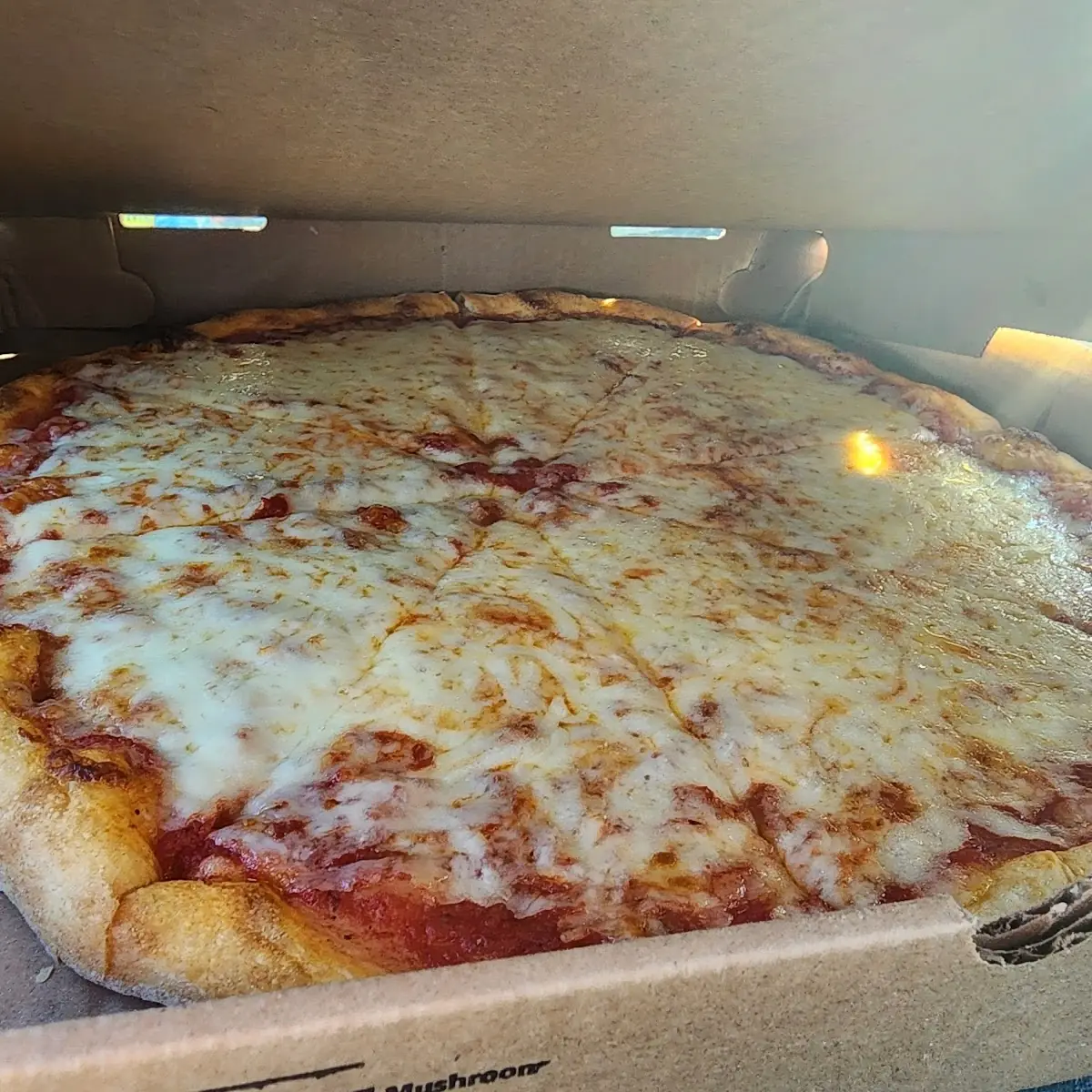 Large X Cheese Pizza