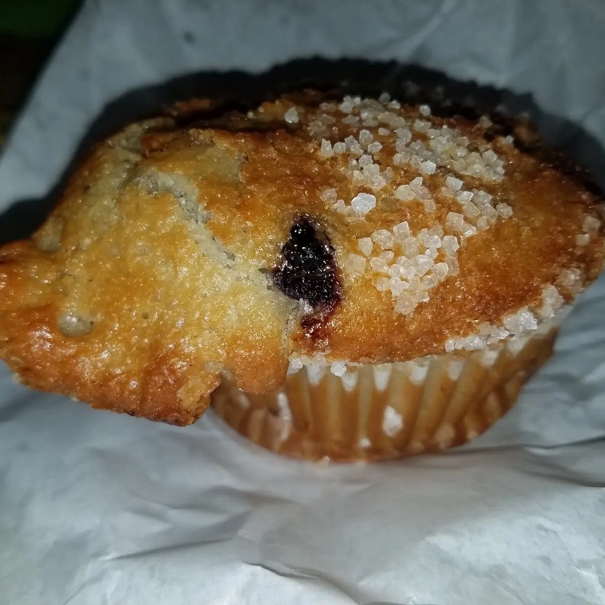 Blueberry Muffin