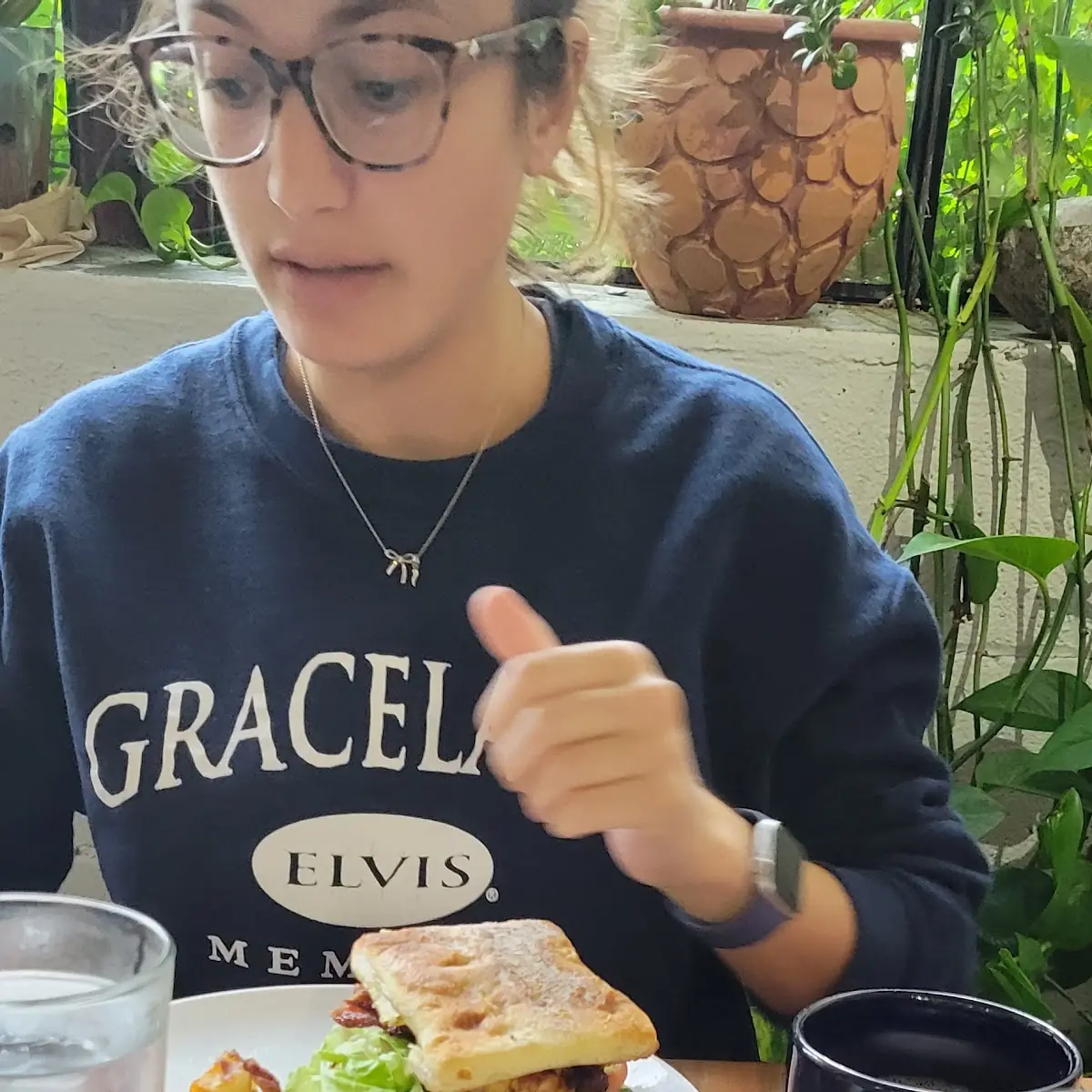 Amish Chicken Sandwich