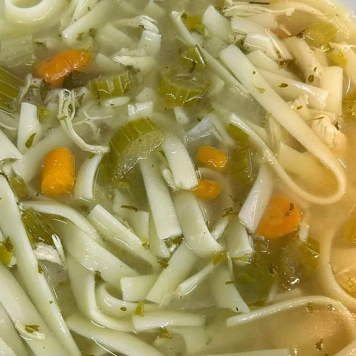 Chicken Noodle Soup