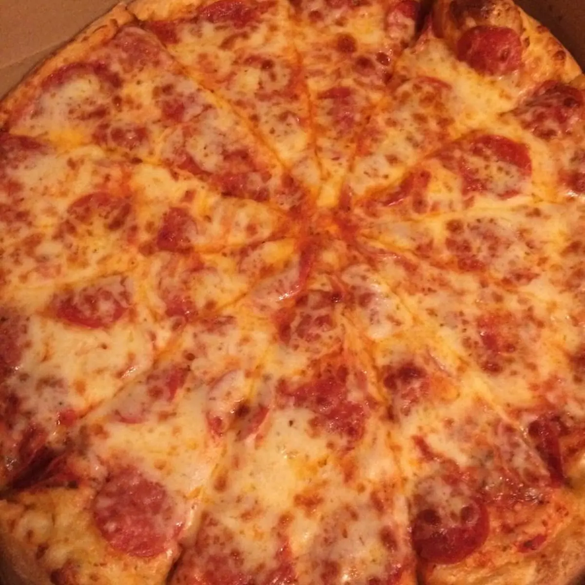 Plain Pizza