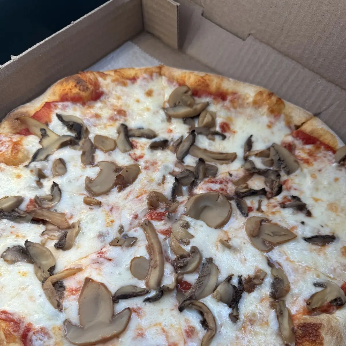 Pizza Kit