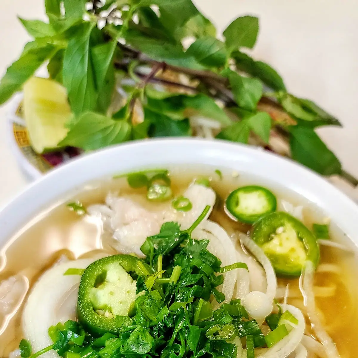Rice Noodle Soup w Fish