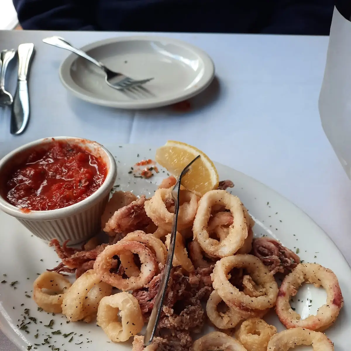 Fried Calamari