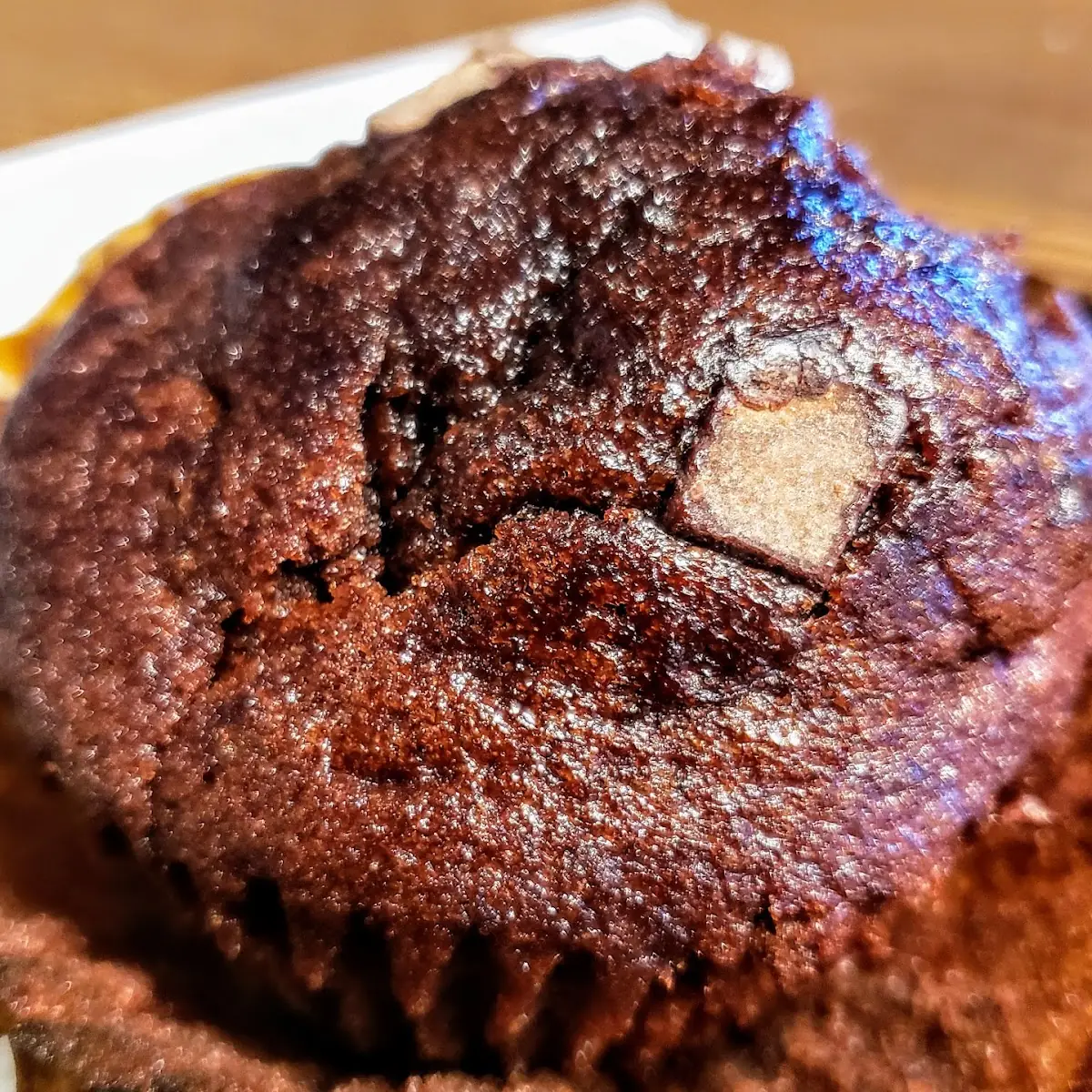 Double Chocolate Muffin