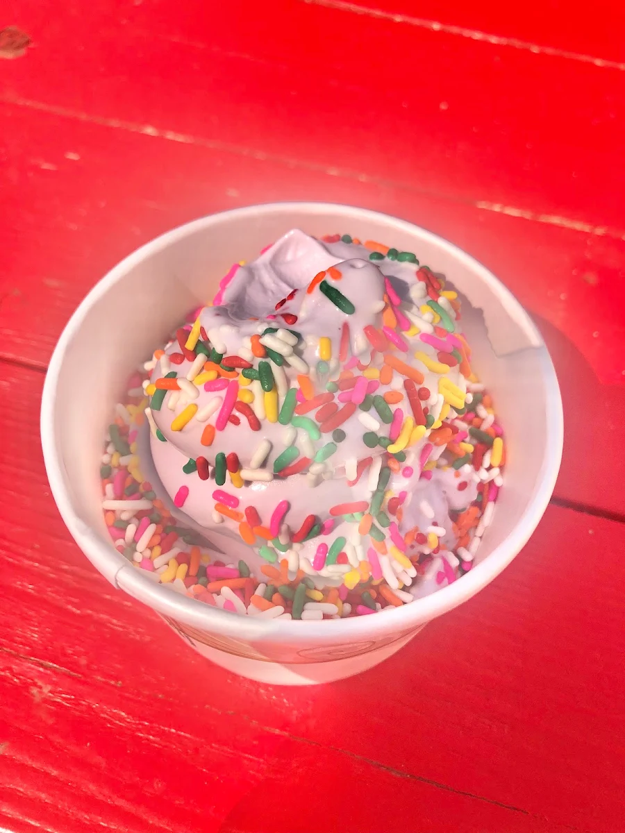 Blueberry Soft Serve Ice Cream
