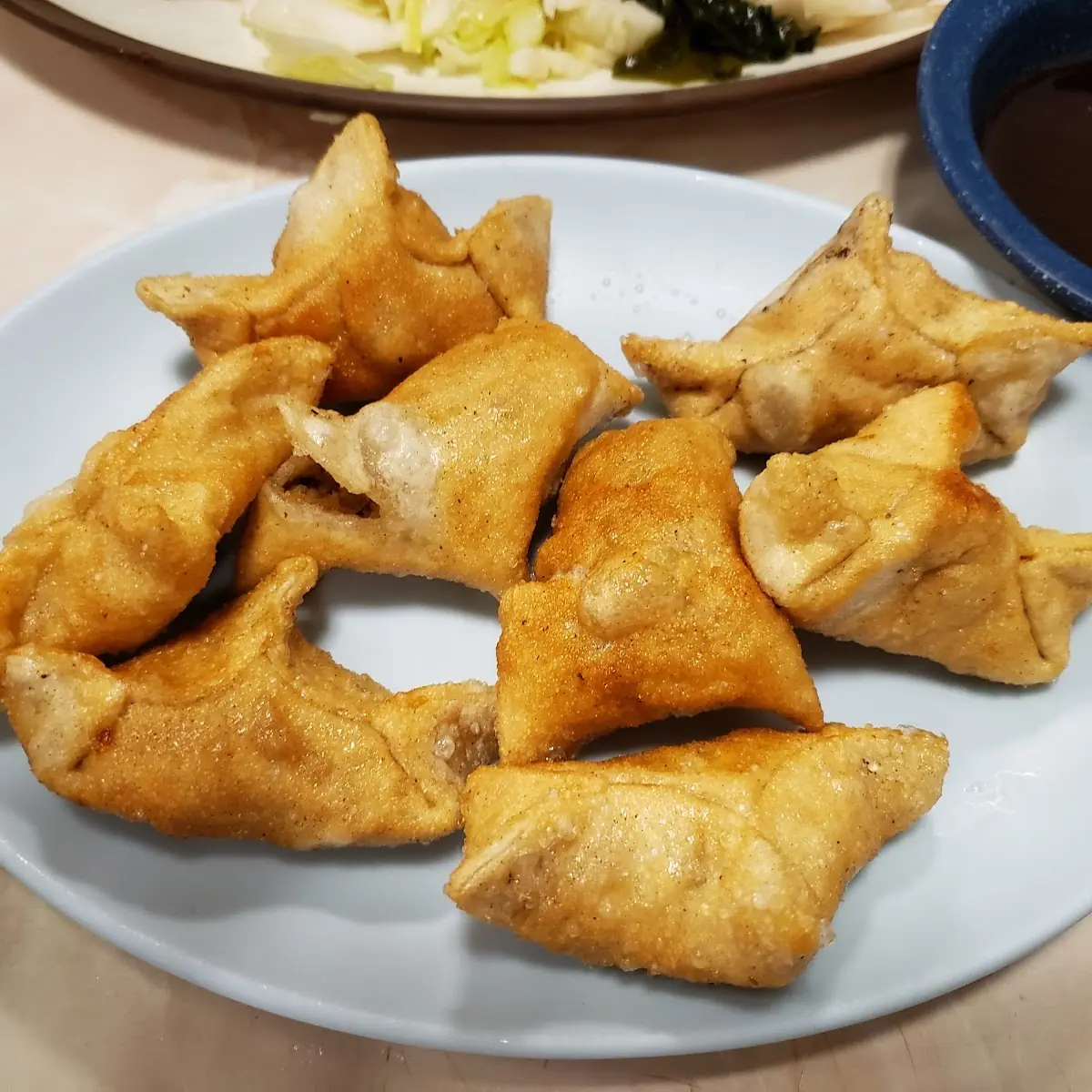 Fried Wonton