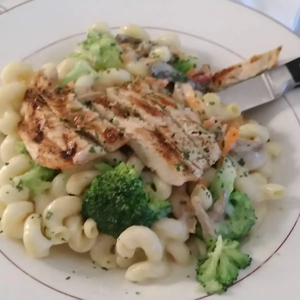 Chicken Alfredo w Vegetables