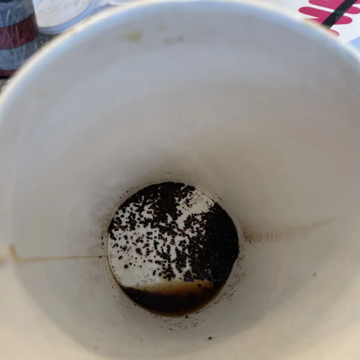 Oreo Coolatta