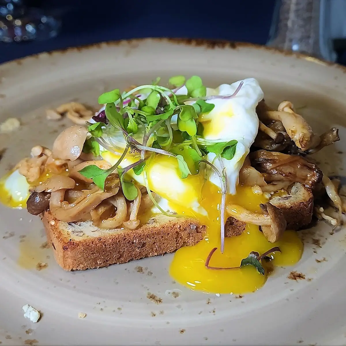 Foie Gras Wild Mushroom Tartine