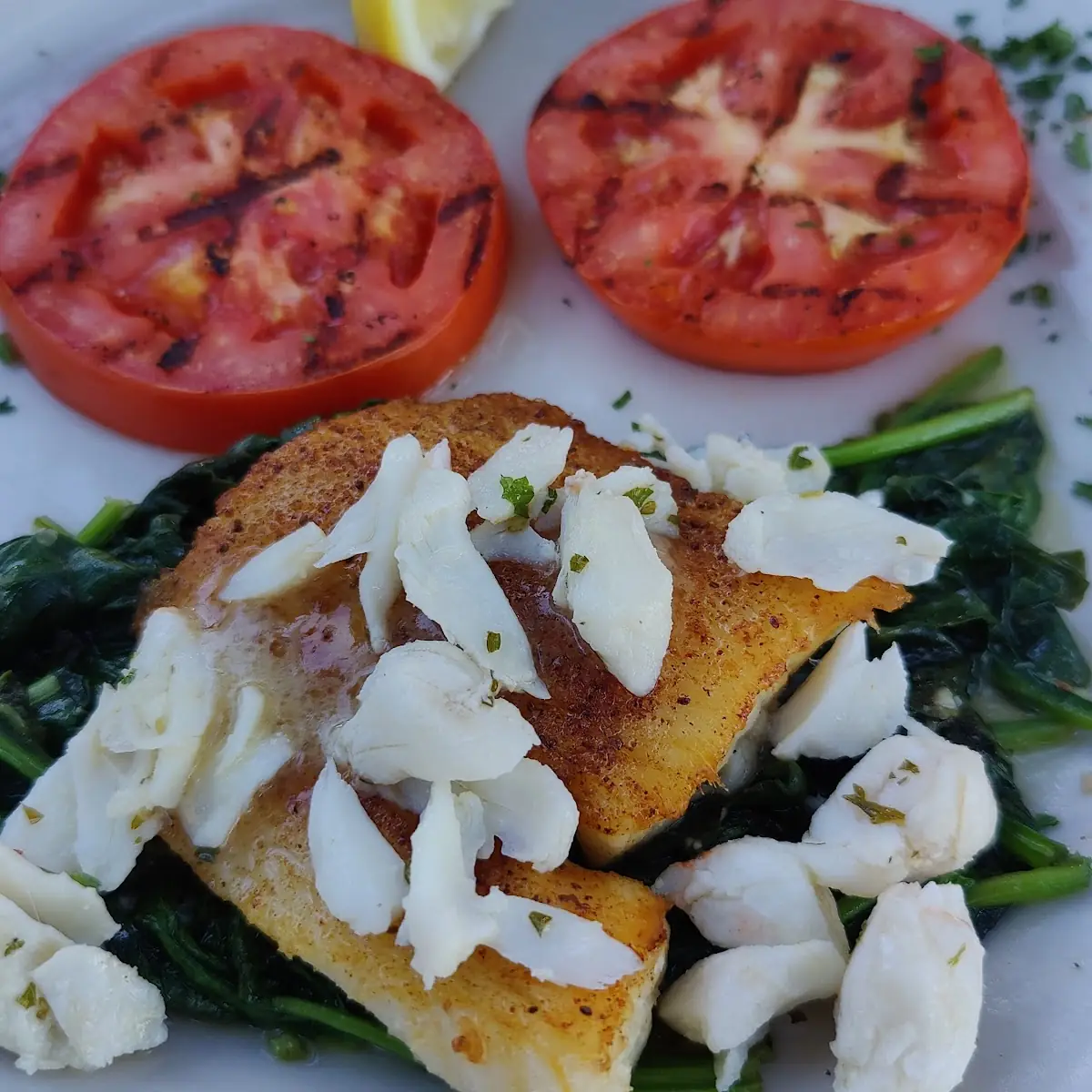 Chilean Sea Bass