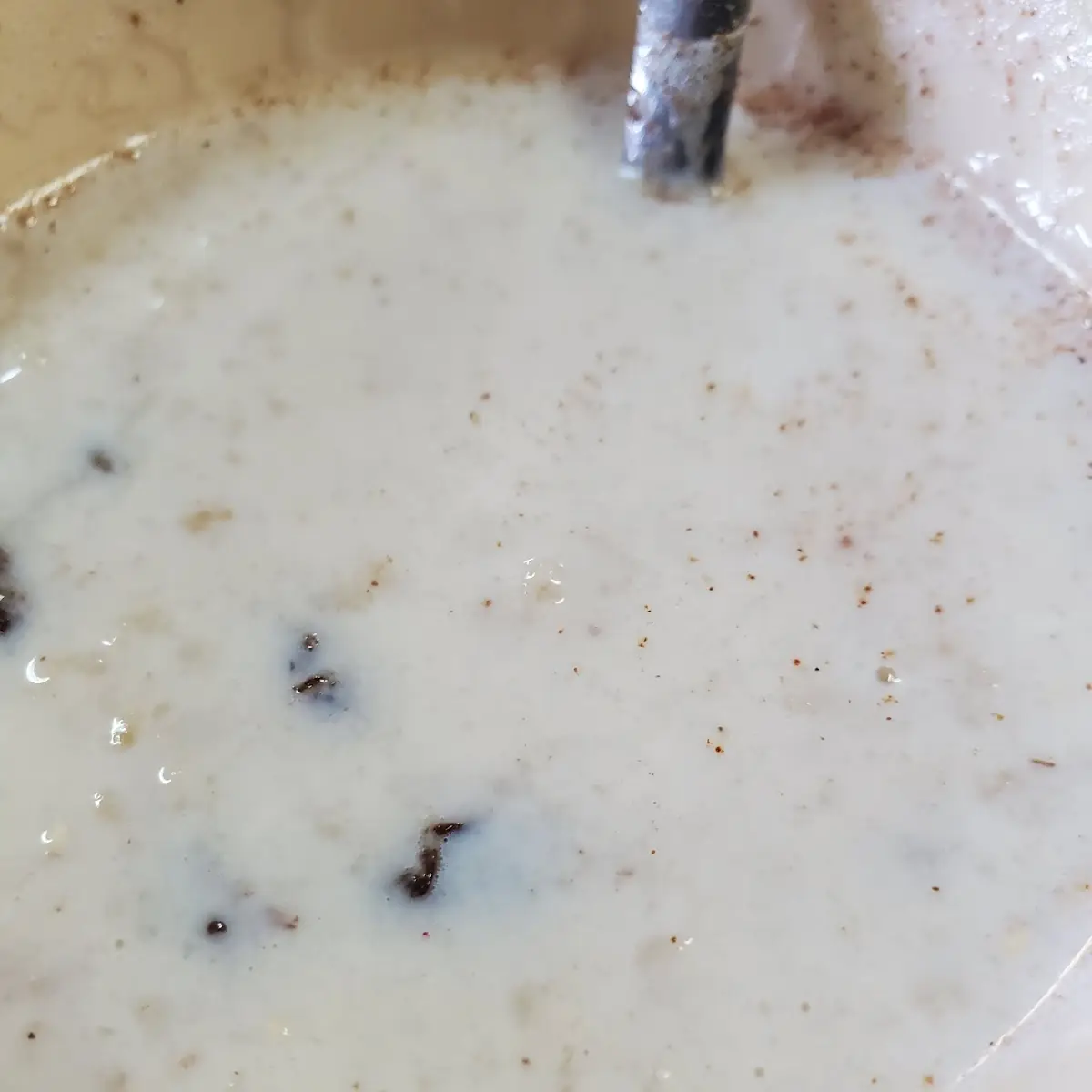 Old Fashioned Oatmeal with Raisins