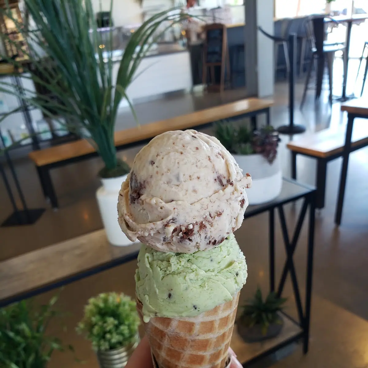 Cookies & Cream and Fresh Mint Chip