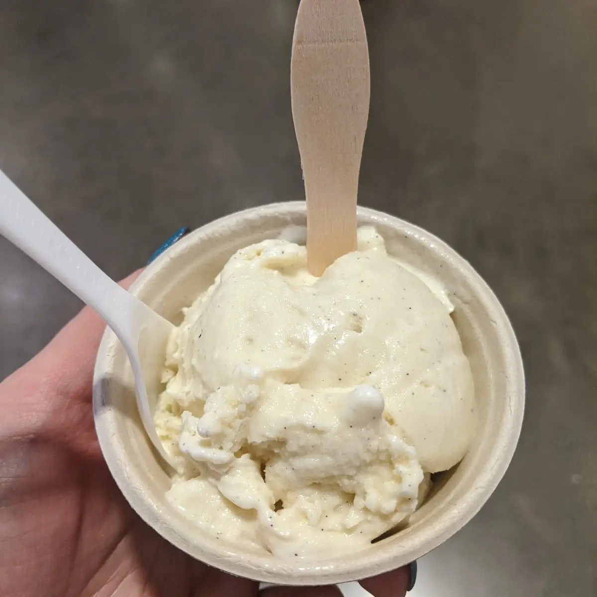 Vanilla Bean Ice Cream