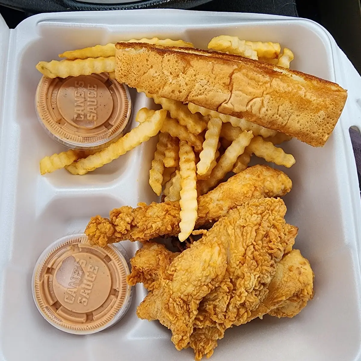 Chicken Finger Plate