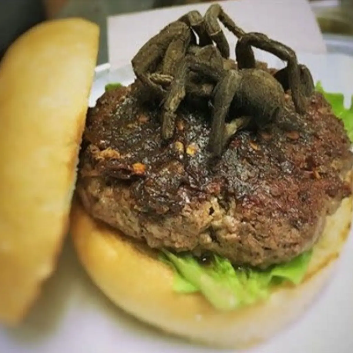 Plain Cheese Burger with Lettuce