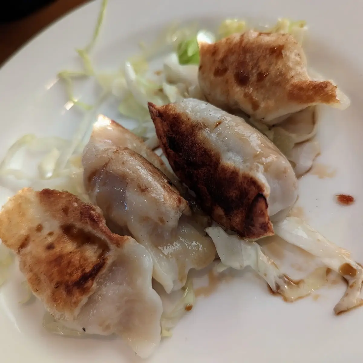 Pan-Fried Pork Dumplings 6