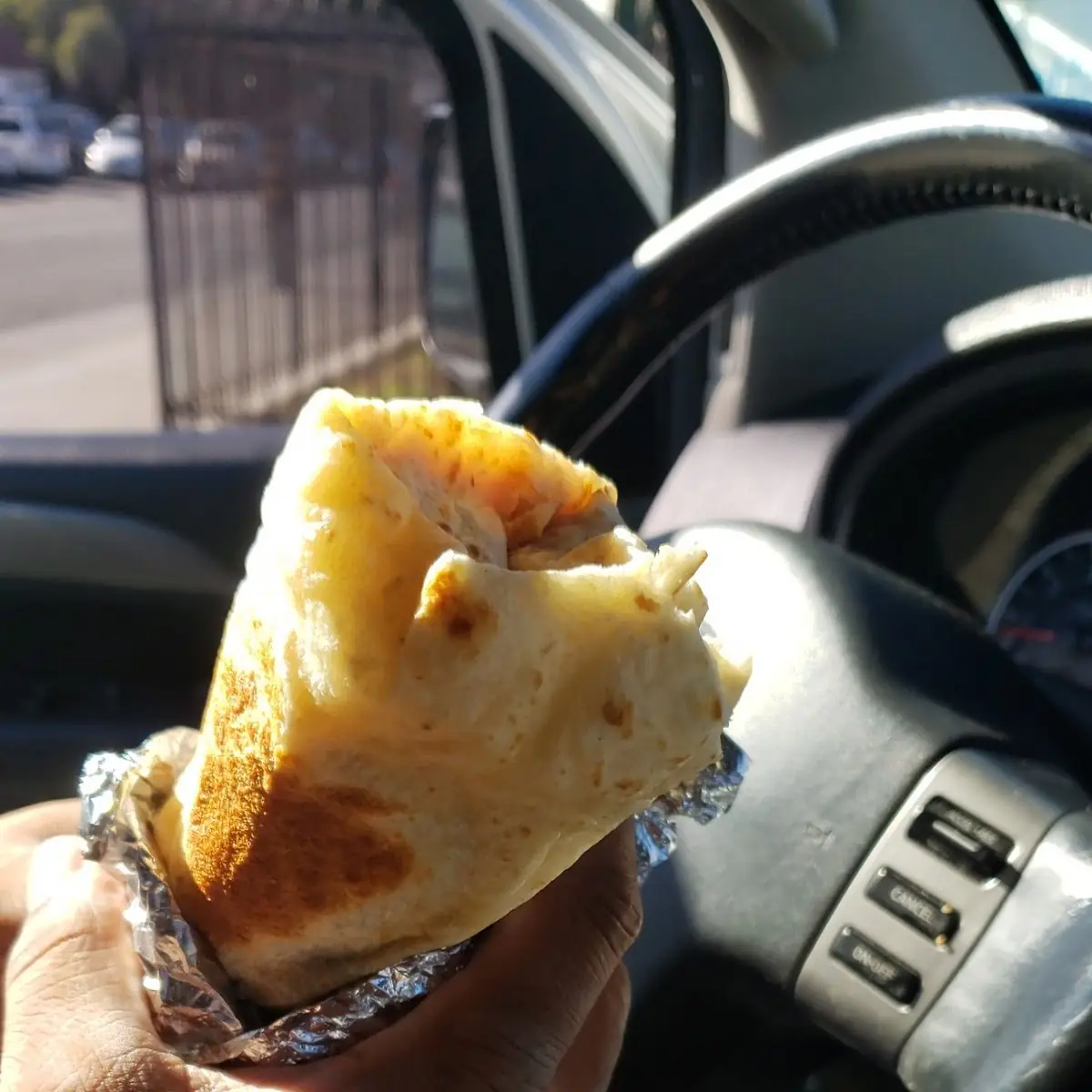 Shredded Beef Burrito