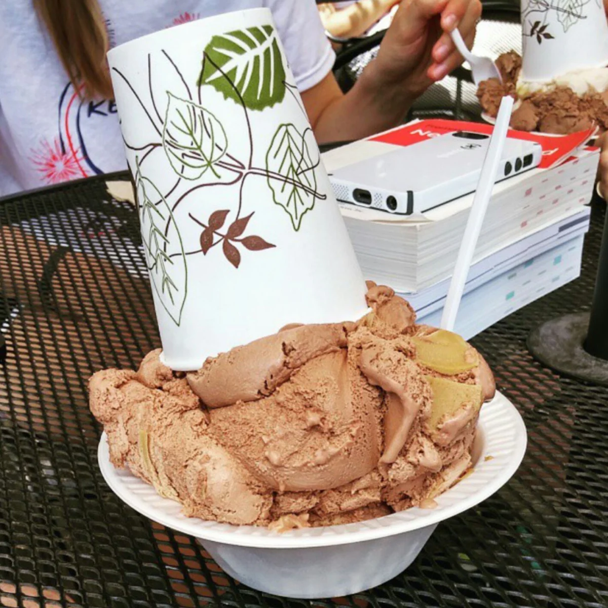 Chocolate Peanut Butter Ice Cream