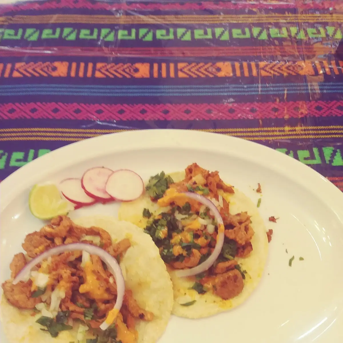 Home Made Tortilla Carne Enchilada Taco
