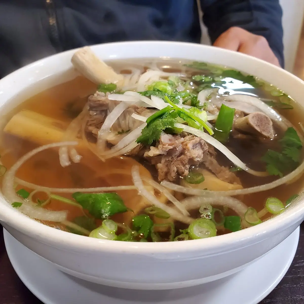Beef Short RB Pho