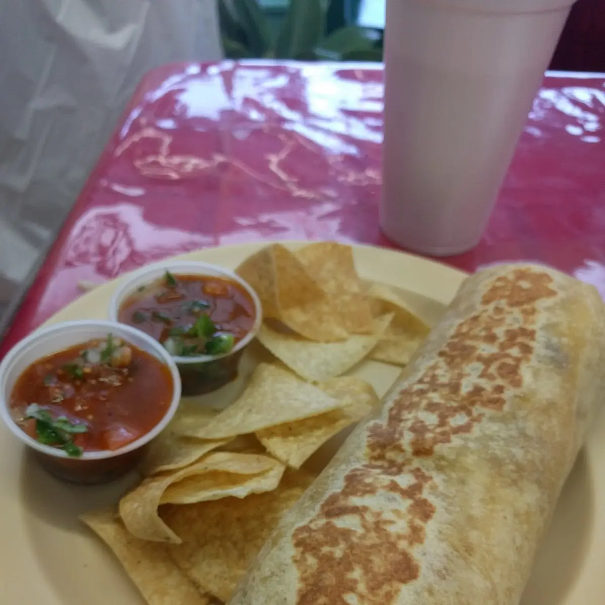 Carnitas Burrito