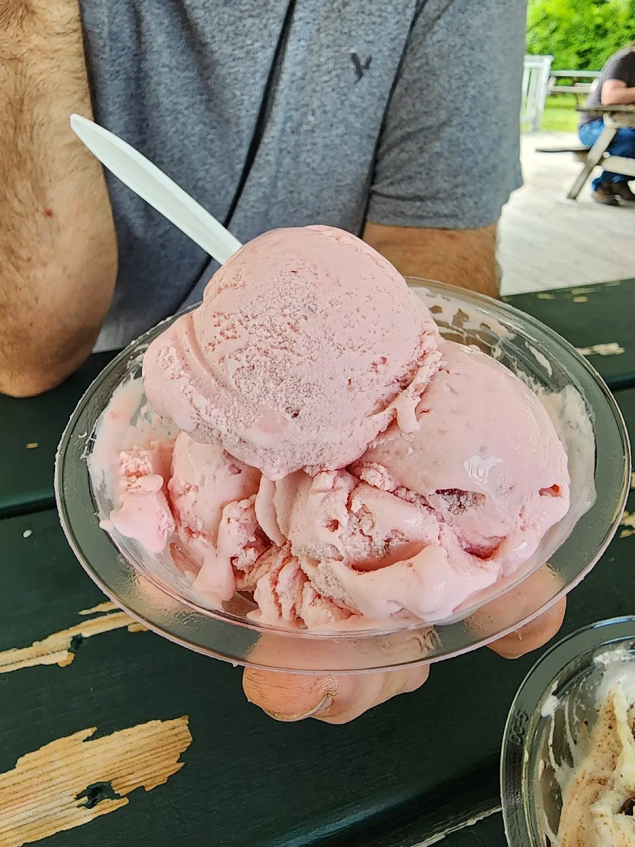 Strawberry Ice Cream Cup