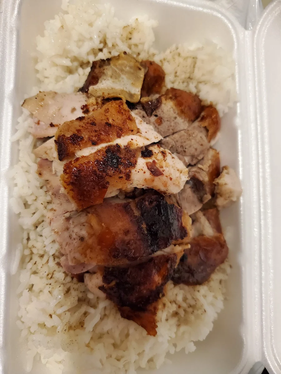 Roast Pork and Roast Duck on Rice, Yummy Wok
