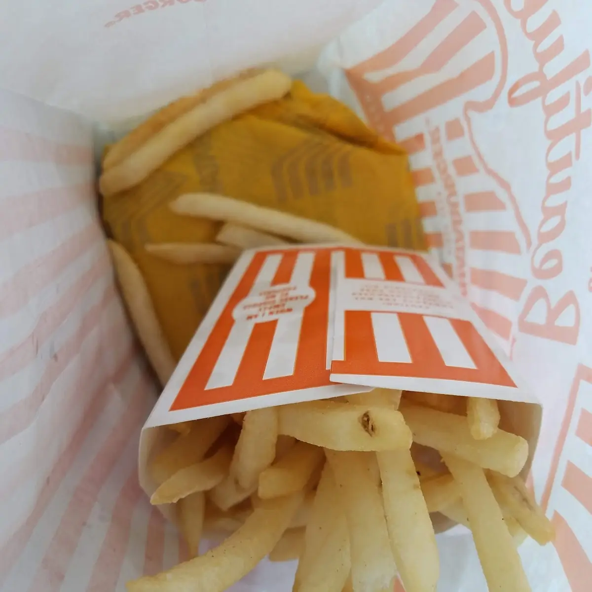 Sandwich and Fries