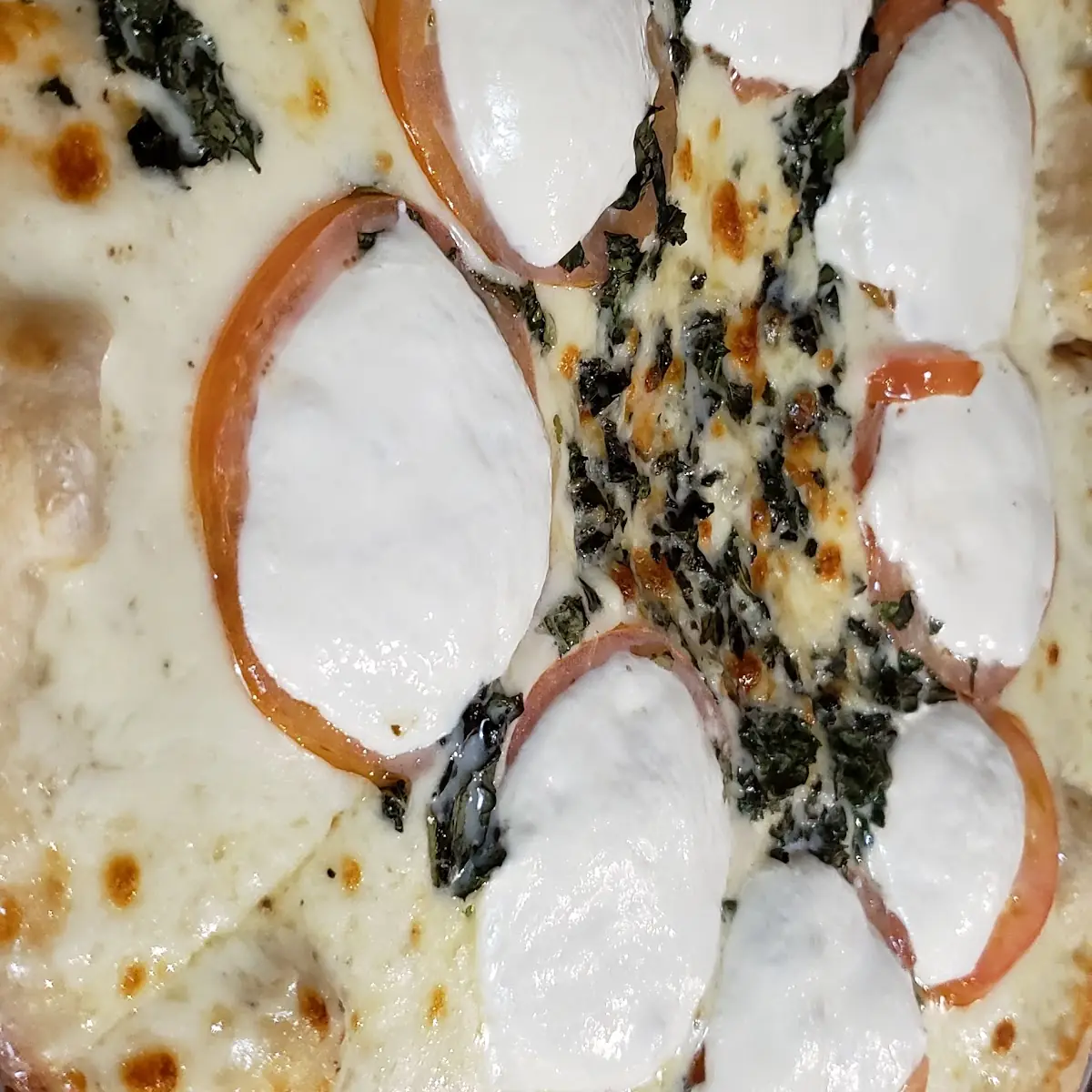 Margarita Pizza