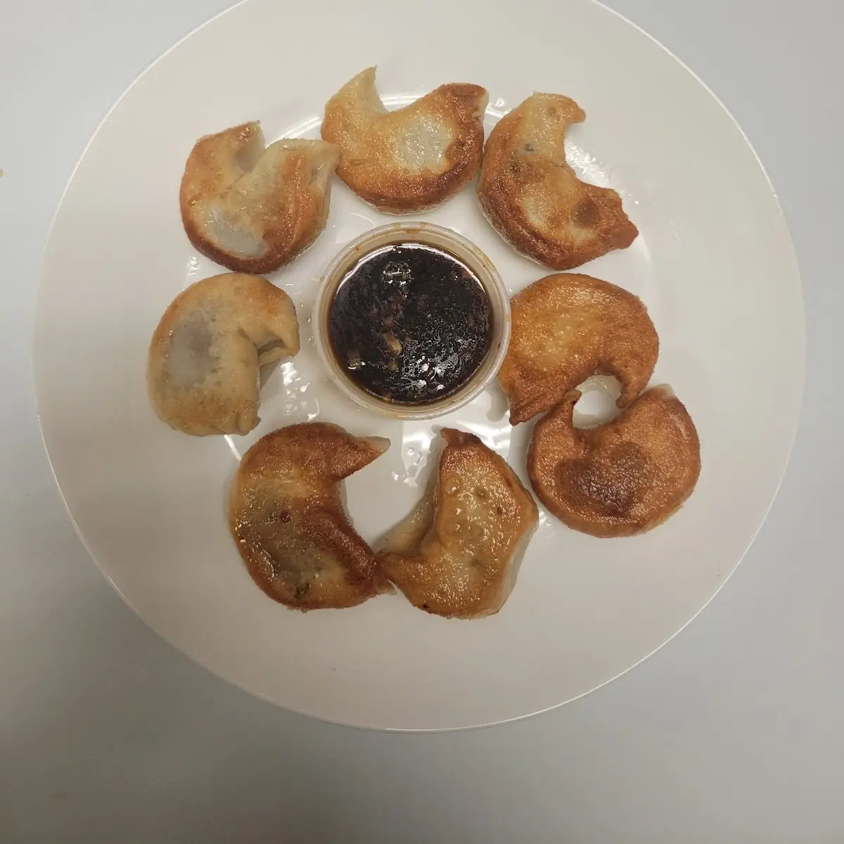 Fried Dumplings 8
