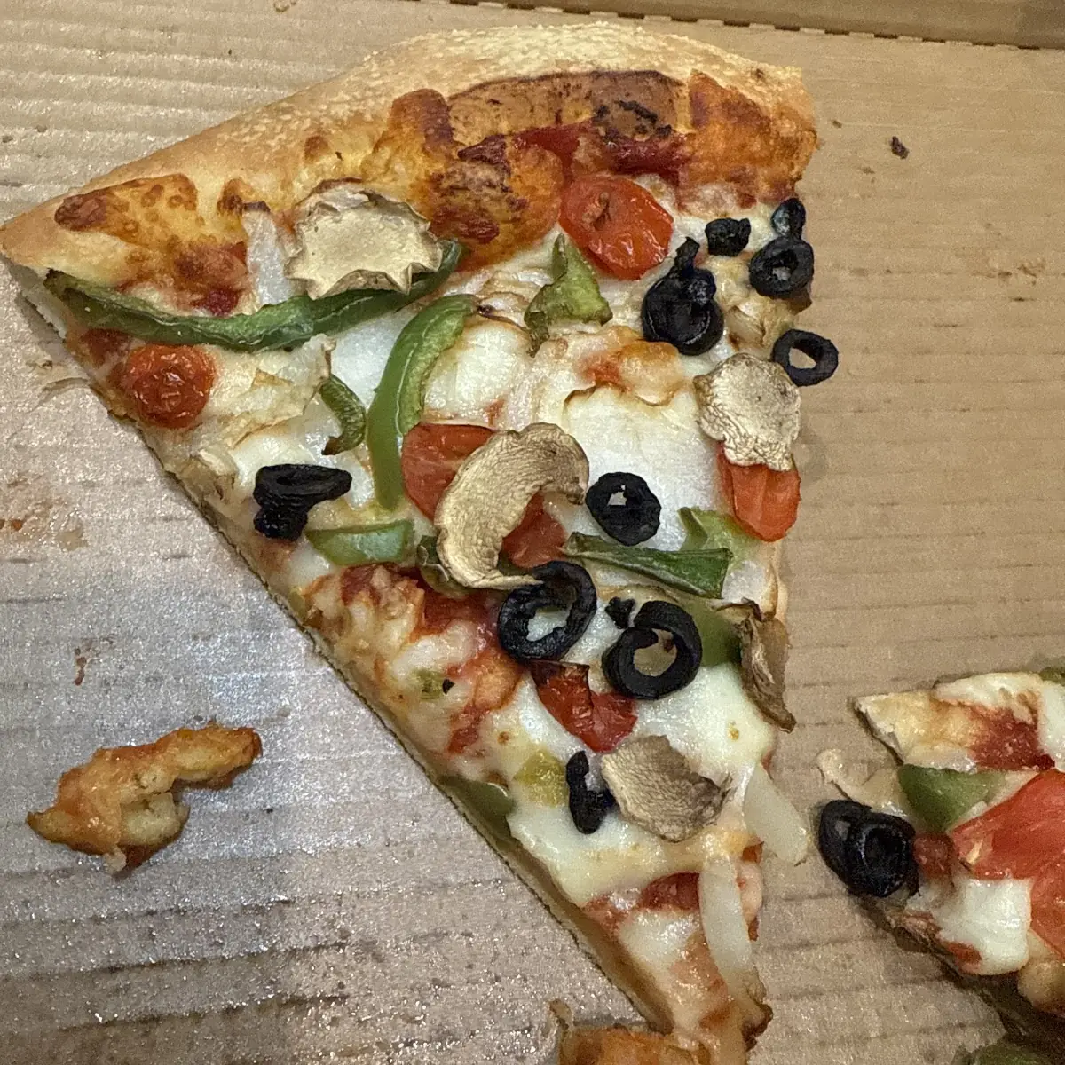 Veggie Lover's Pizza