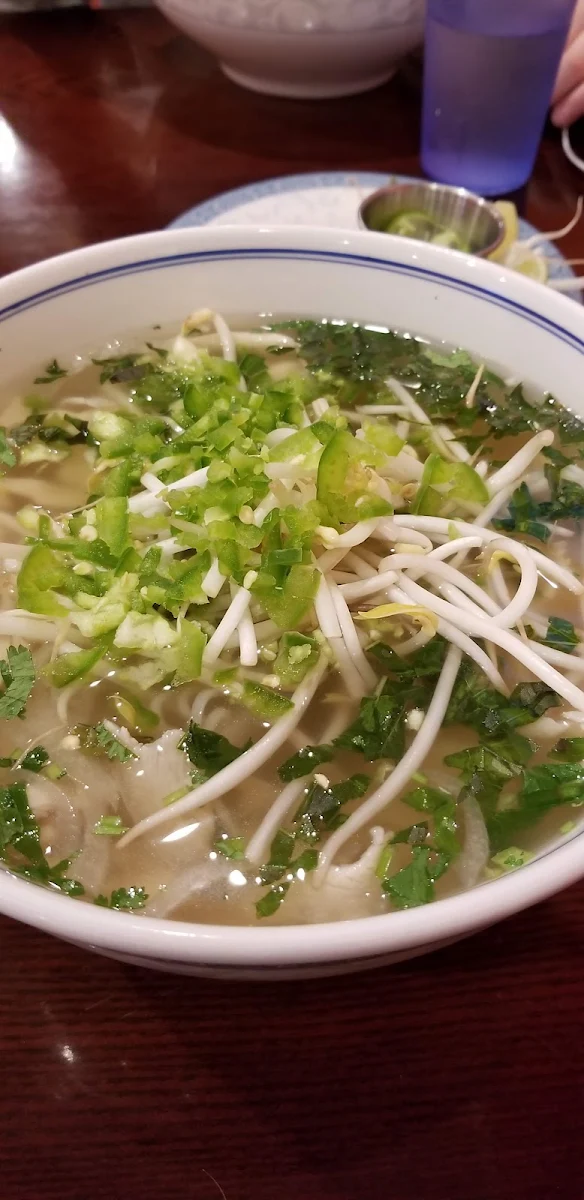 17 Pho GA Chicken Noodle Soup