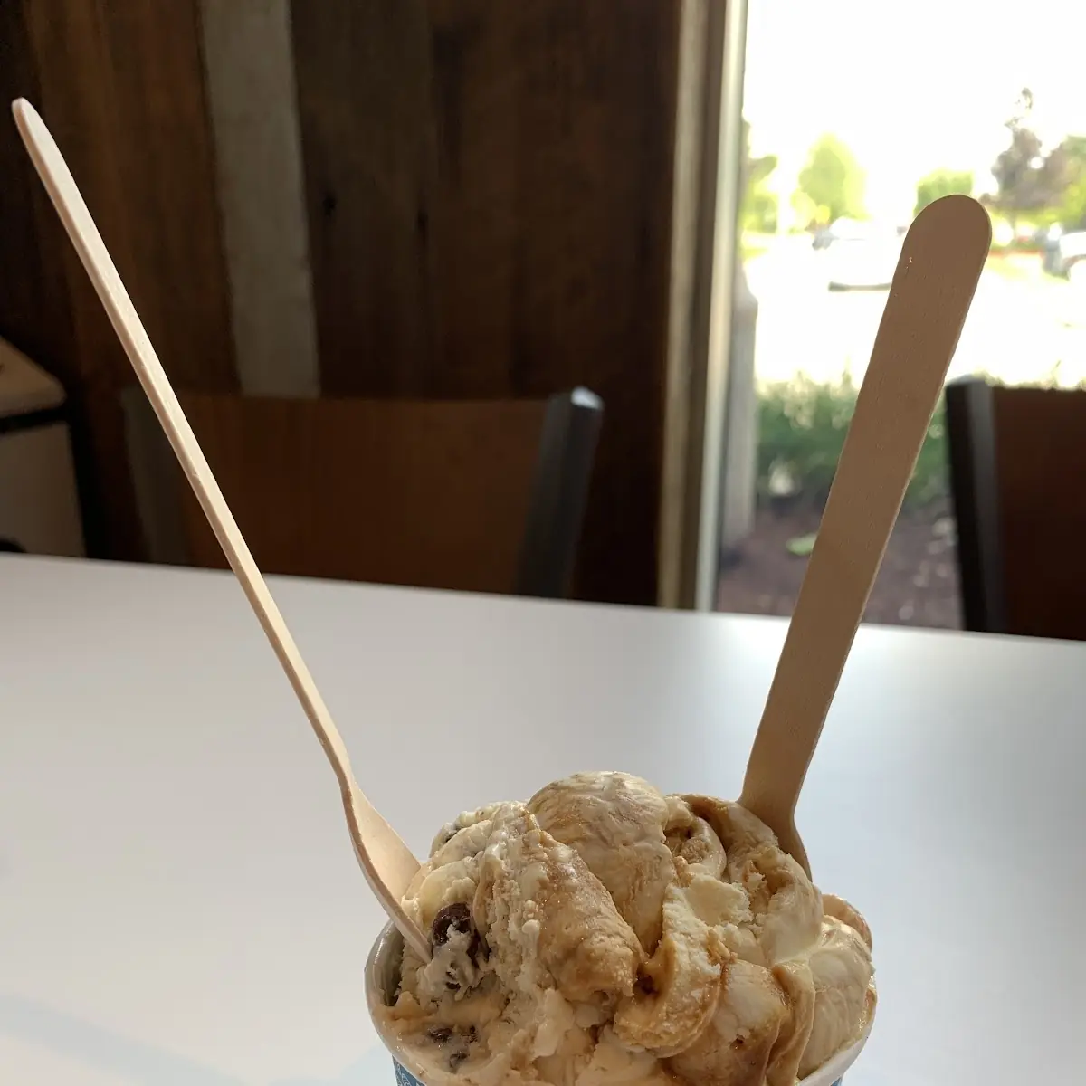 Chocolate Chip Cookie Dough