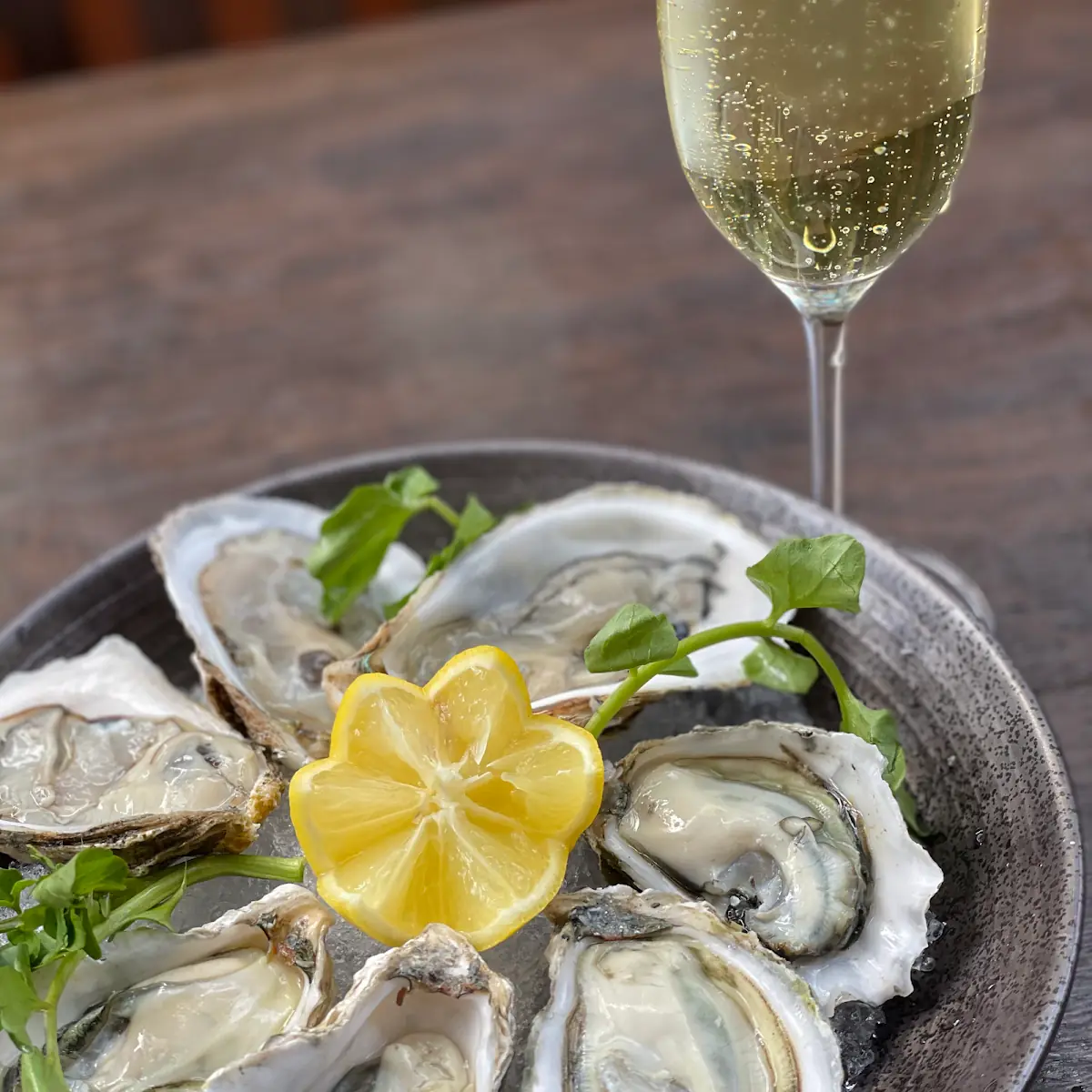 Fresh Oysters on Ice