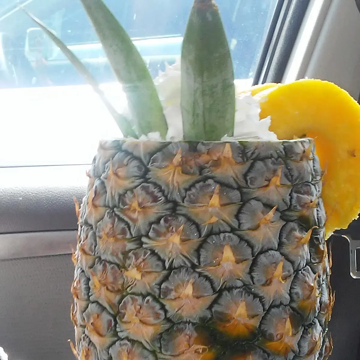 Pina Colada Smoothie