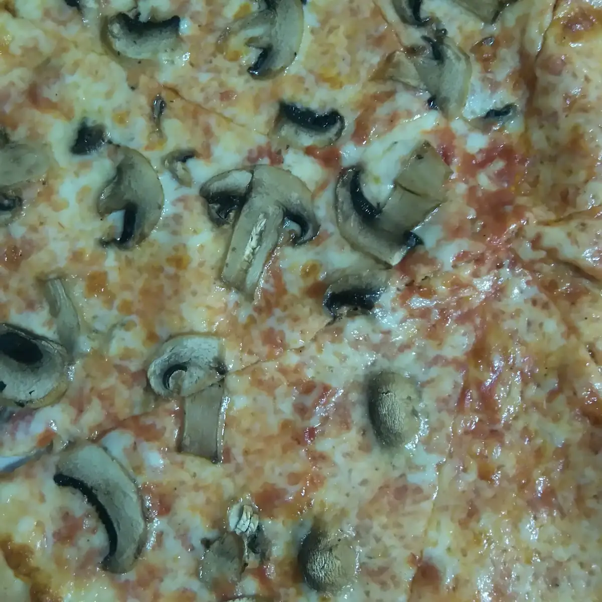 Mushroom Pizza