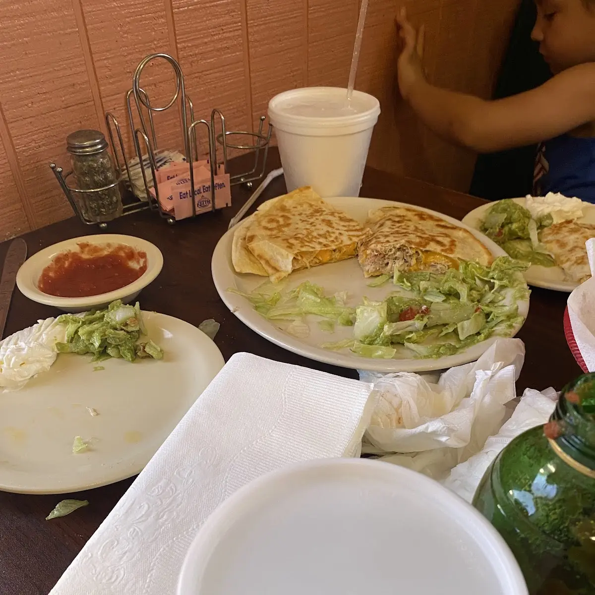 Plain Jane Tasteless Quesadilla