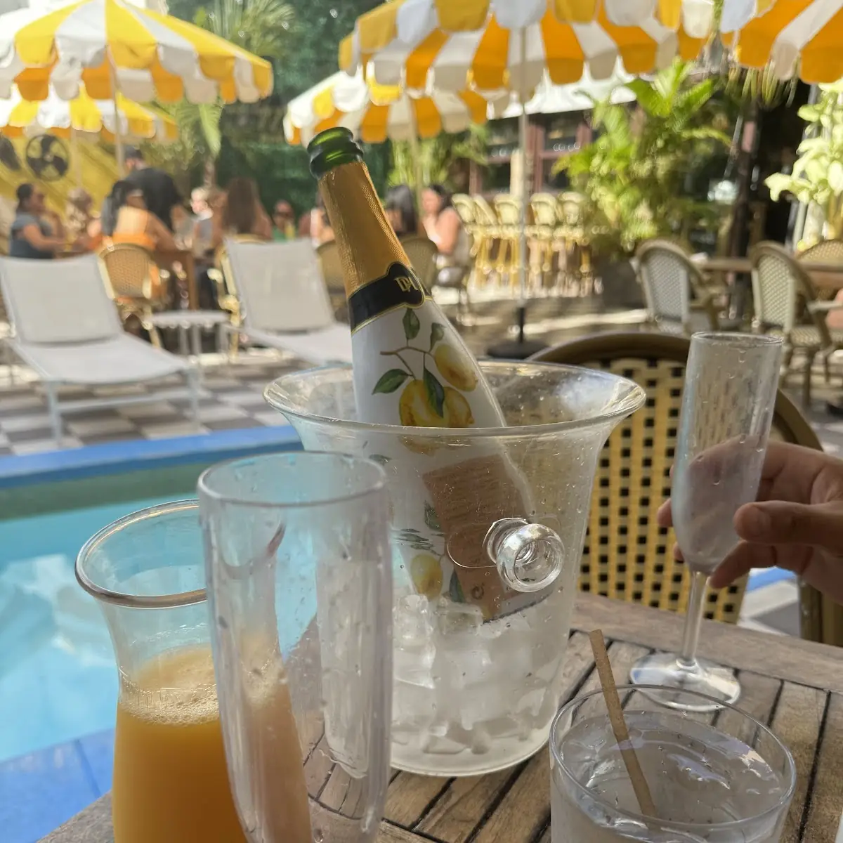 Bottomless Mimosa