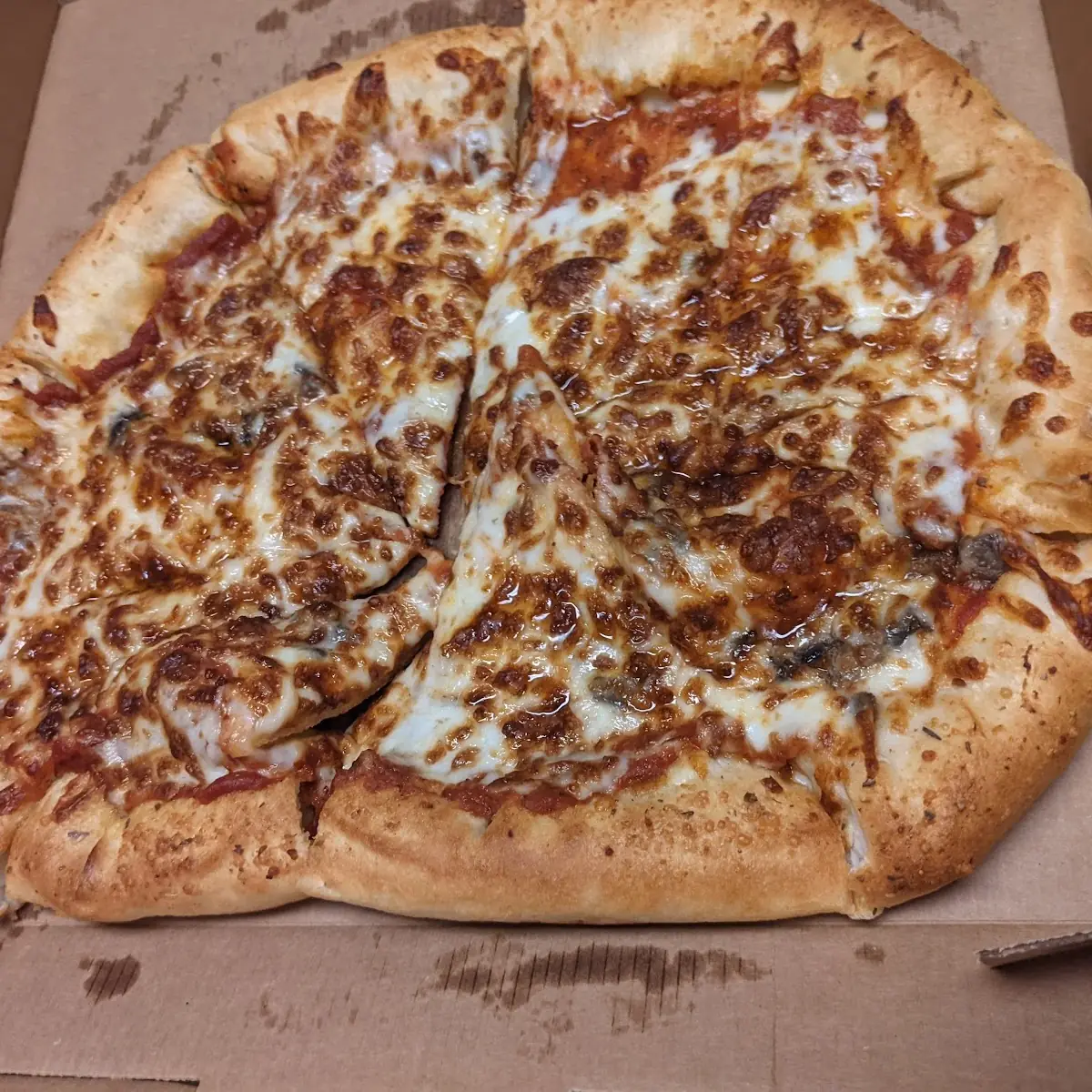 Cheese and Mushroom Pizza