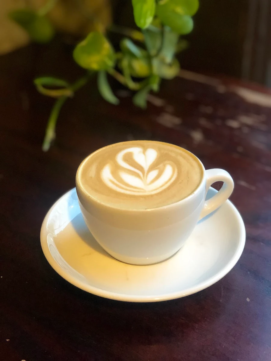 Cappuccino with Oatmilk vs a Regular Milk