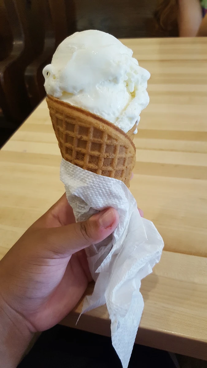 Vanilla Ice Cream in a Waffle Cone
