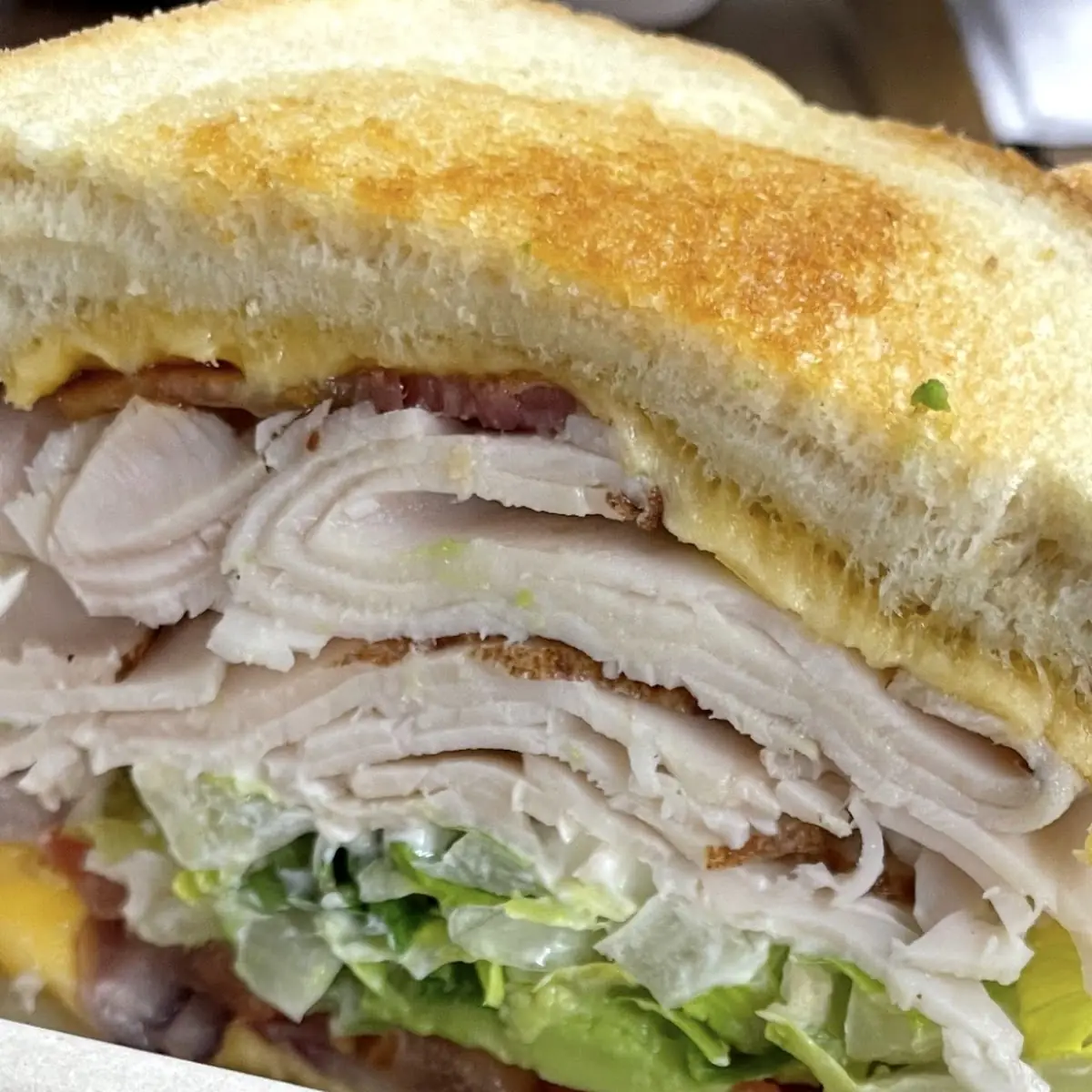 Turkey Sandwich
